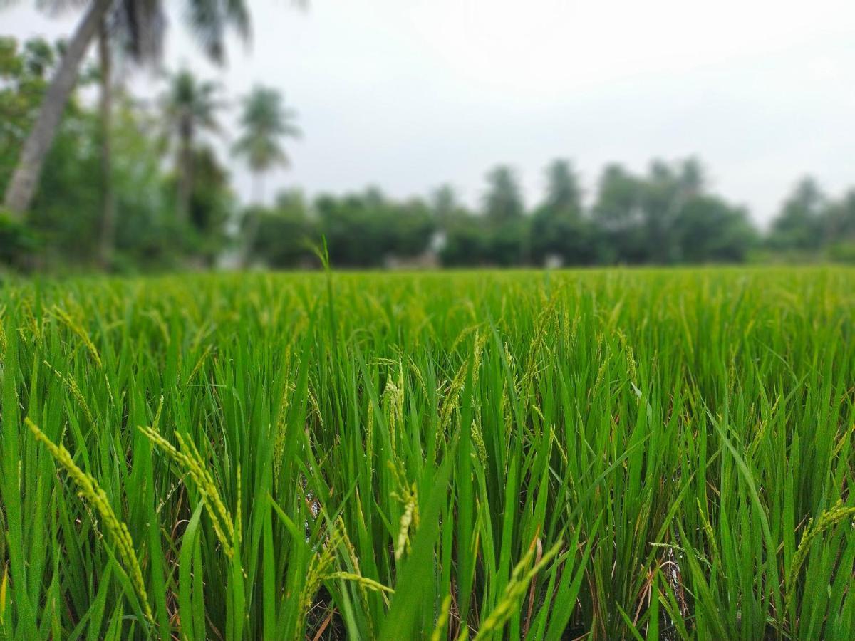 The Farm Crest, Ecr Kadallur Kuvattur Экстерьер фото